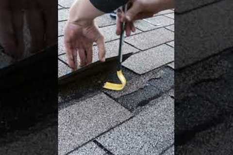 Broken Asphalt Shingle Repair