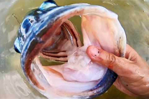 BASS of a LIFETIME strikes INCHES FROM THE BANK!!!