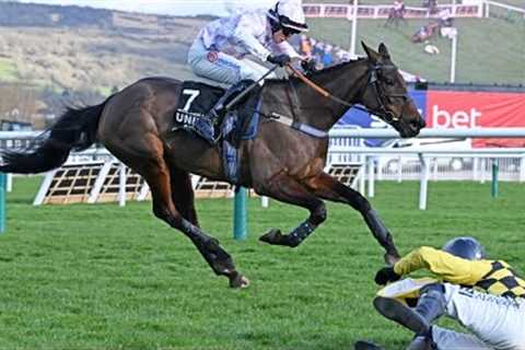 GOLDEN ACE lands dramatic Champion Hurdle as CONSTITUTION HILL &amp; STATE MAN fall