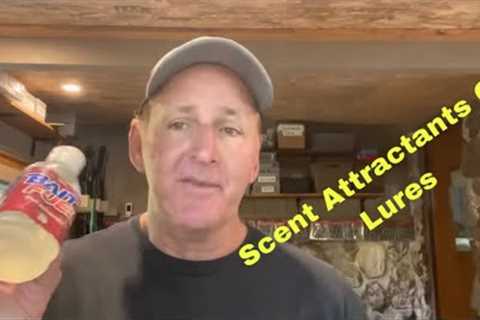 What Most Anglers Don’t Know About Scent Attractants On Lures…