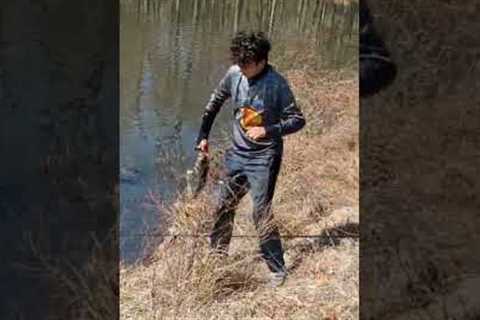 HUGE bass #fishing #bassfishing #giantbass #lake
