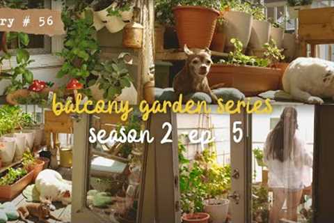 👩🏻‍🌾 Balcony Gardening | Container Gardening | Growing Vegetables in My Small Balcony | S2 Part 5