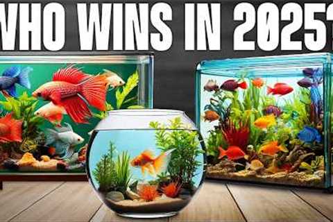 TOP 5 Best Fish Tanks 2025