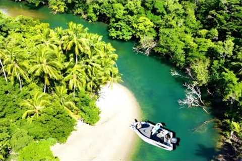Fishing Remote Coastal Creeks Catch and Cook