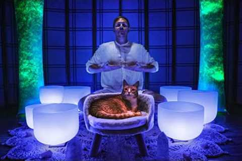 Lower Your Cortisol Sound Bath | Crystal Singing Bowls for Stress Relief
