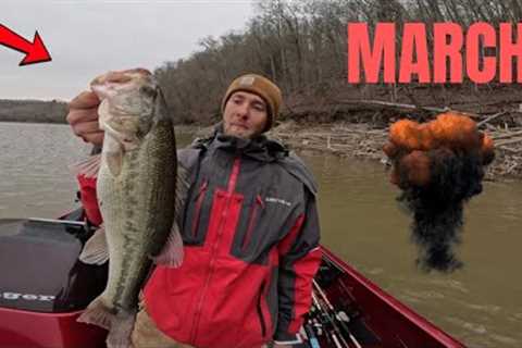 Bass Fishing Norris Lake in March.