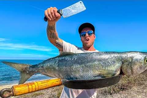 (CATCH AND COOK) Fish Was Too BIG To Eat Alone