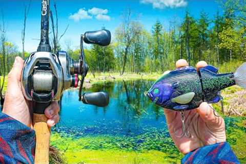 Exploring A MASSIVE Lake For GIANT Spring Bass (Pre-Spawn Fishing)