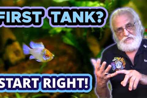 3 Things You MUST DO RIGHT in Your New Aquarium #firstaquarium