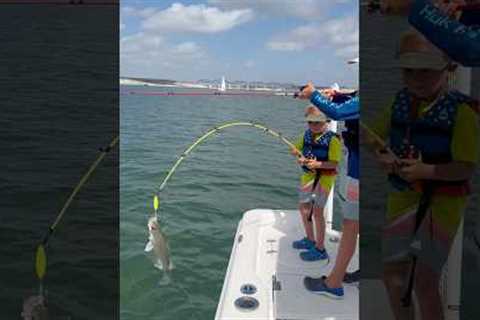 Get the net! #lake #fishing #lakeadventures #bassfishing #wilderness #bass #youtubeshorts