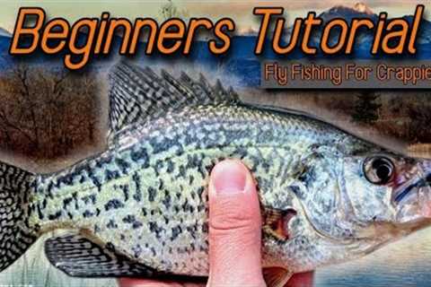 Beginner Friendly Fly Fishing for Early Spring Crappie!