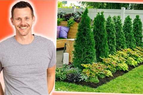 3 SIMPLE Budget-Friendly Landscape Designs