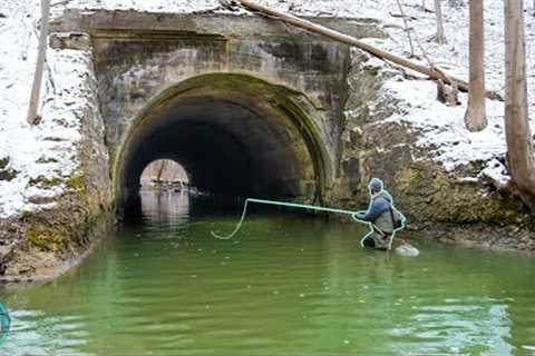 Fly fishing for my BIGGEST Fish of the Year! (3 Days fishing for Erie Steelhead and trout)