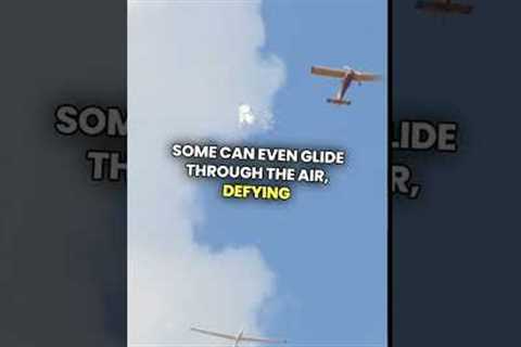 Secrets of Snakes: Venom &amp; Survival