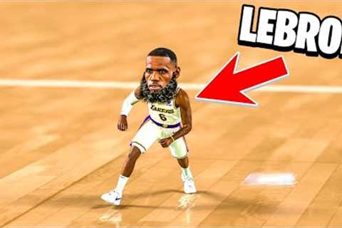 I Made LeBron TINY