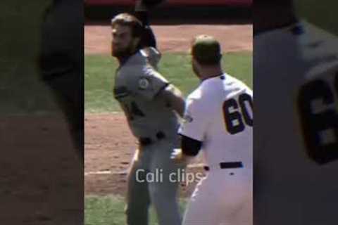 Bryce Harper fight vs Giants #trending #shorts #tiktok #fypシ #mlbb #goat #sports #cold #fight #nats