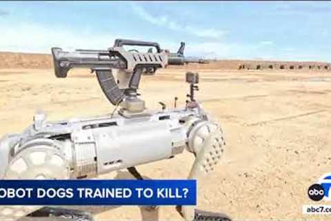 China's military shows off robot dog with automatic rifle mounted on its back