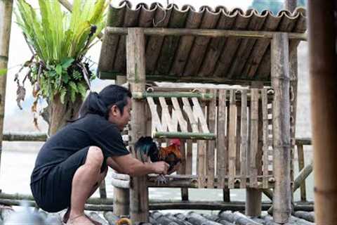 Making Bamboo Chicken Coop, Fishing, Cooking: River Survival | EP.444
