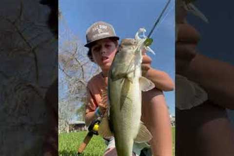 Nice bfs bass #lake #fishing #boating #bassfeatured #bassfishing #bassbaits
