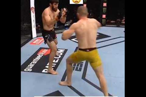 UFC Fight KO 💀 #ufc #fight #viralvideo #trending #trend #mma #mmatraining #kick #sports #khabib..