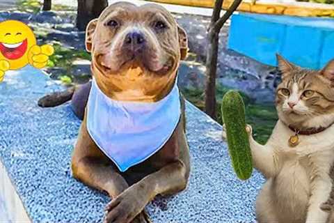 Funniest And Cutest Dog Videos | Try Not To Laugh 😂 | Best Funny Dog Videos 2025