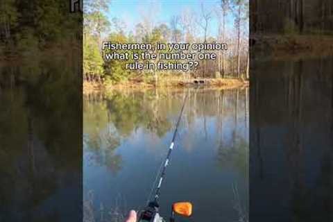 Be honest. #jesussaves #like #subscribe #fish #fishing #fyp #fypage #bass #likes #shorts #short