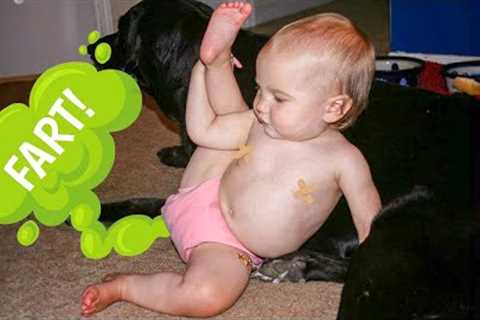 Funny Baby Videos Compilation That You Can't Miss!!
