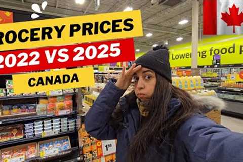 Grocery Shopping in Canada 🇨🇦 | Shocking  Grocery Price Rise in Toronto | Canada Vlogs