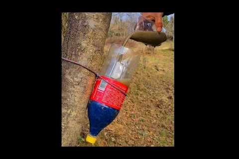 Survival Skills: Amazing DIY Water Filter from Your Own T-shirt the Wild. Bushcraft. Camping 1