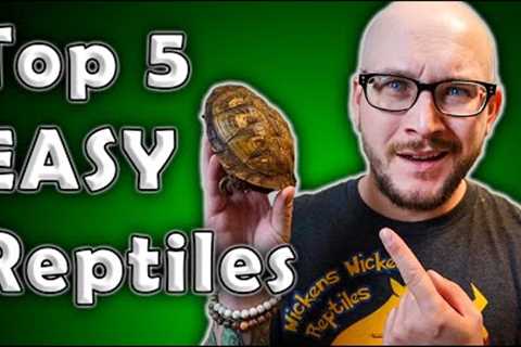 Top 5 Low Maintenance, Easiest, Least Time Consuming Reptiles