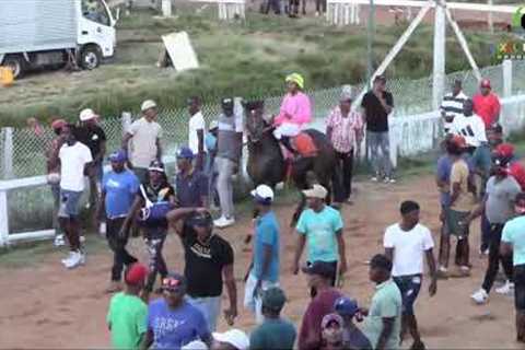 Phagwah horse race meet