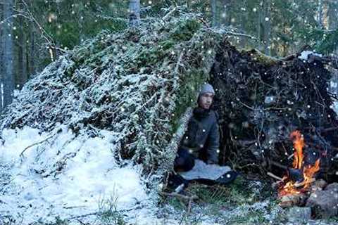 Best WINTER Survival Shelter! Camping Under a Fallen Tree in SNOW