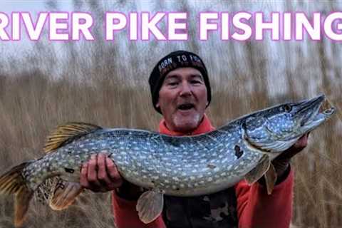 Pike fishing with deadbaits the last week of the river season