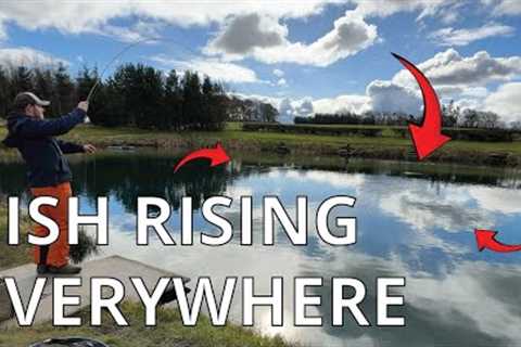 Trout Rising Everywhere! Here’s How to Catch Them [Fly-Fishing Scotland]