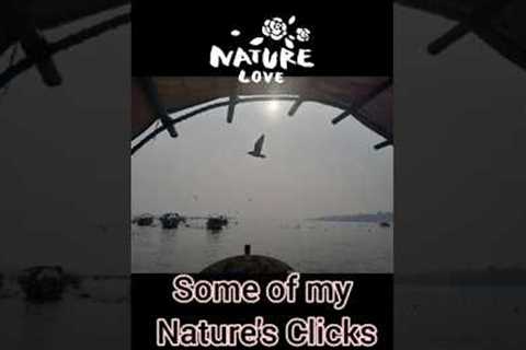 Some of my Nature's clicks🌠/#nature/#naturephotography /#photography /#naturebeauty /