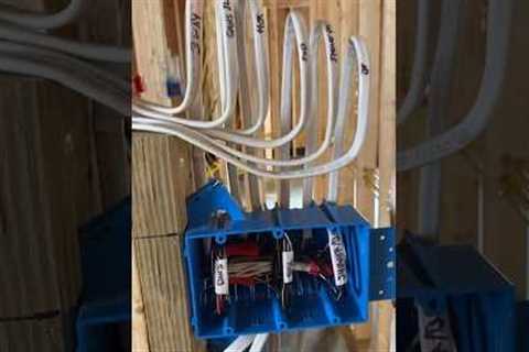 How to Make Up a Three Gang Switch Box ⚡️ #electrician #construction #electrical #work