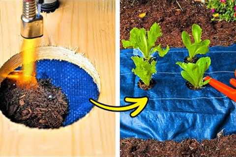 101 DIY Gardening Hacks and Tips to Maximize Space. Create Ultimate Outdoor Oasis