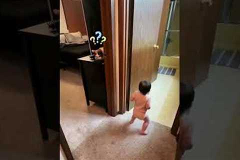 Personal Trainer Pup: Toddler’s Funniest Workout Ever! 😂🐶 #Dog #Funny #Pet #animal #shorts