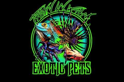 EXOTIC PETS! Excited to announce our new channel!