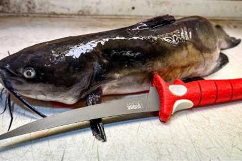 The ONLY CATFISH FILLET Tutorial You'll Ever Need!