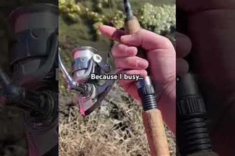 Chasing lil fishies…#Fishing # #BashFishing