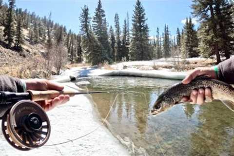 Fly Fishing Frozen Mountain Creek for Big Trout!