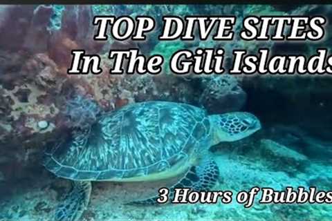 Best Dive Sites in the Gili Islands | Scuba Diving Gili Trawangan, Gili Meno &amp; Gili Air