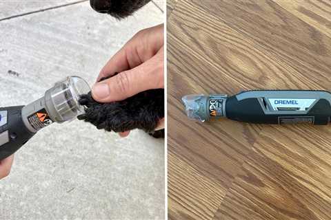 I'm a former vet assistant who has trimmed hundreds of dogs' nails &mdash; this nail grinder is the ..