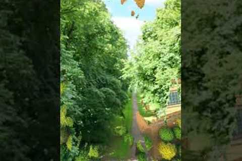 Measure Height Of Tree Through Photogrametry Or Drones #viralvideo #youtubeshorts #drones ...