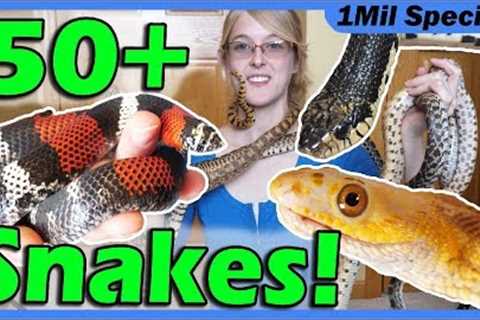 Reptile Room Tour 2019!! Meet My Pets!