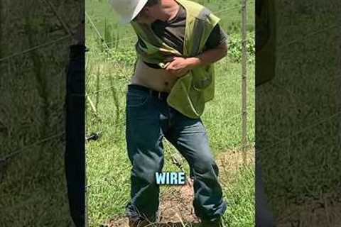How Electric Fences Work⚡️