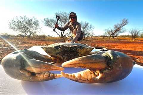 Catching MONSTER Fish &amp; Crabs Using Primitive Techniques - Catch and Cook on FIRE
