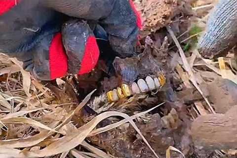 GERMAN WWII SOLDIER FOUND / WWII METAL DETECTING