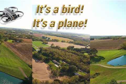Relaxing FPV Drone Freestyle Flight Over the Country #avata2 #fpvfreestyle #quadcopter